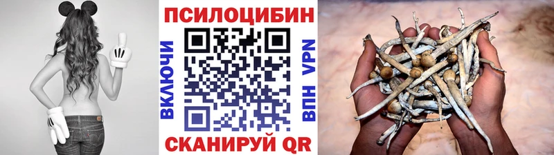 shop состав  закладки  Бирюсинск  Галлюциногенные грибы мицелий 